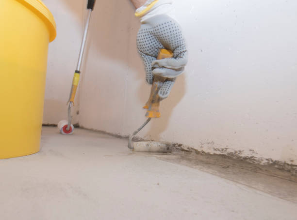 Best Termite Inspection and Treatment  in Northwest Harborcreek, PA